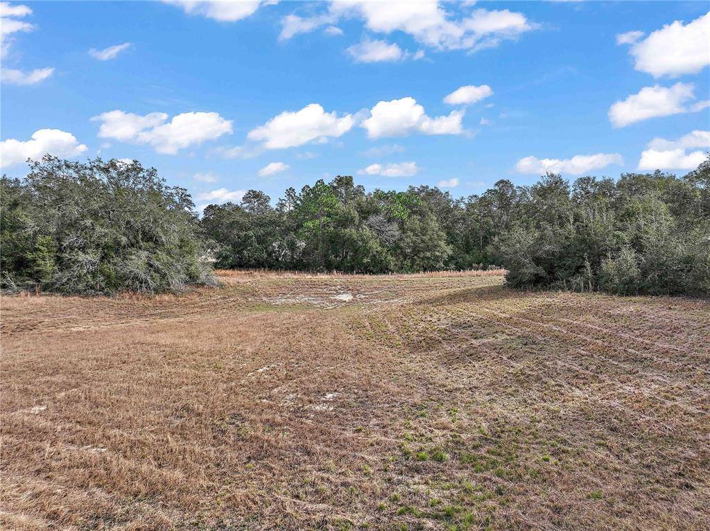 0 SE 101 CT. Road, Belleview, FL 34420