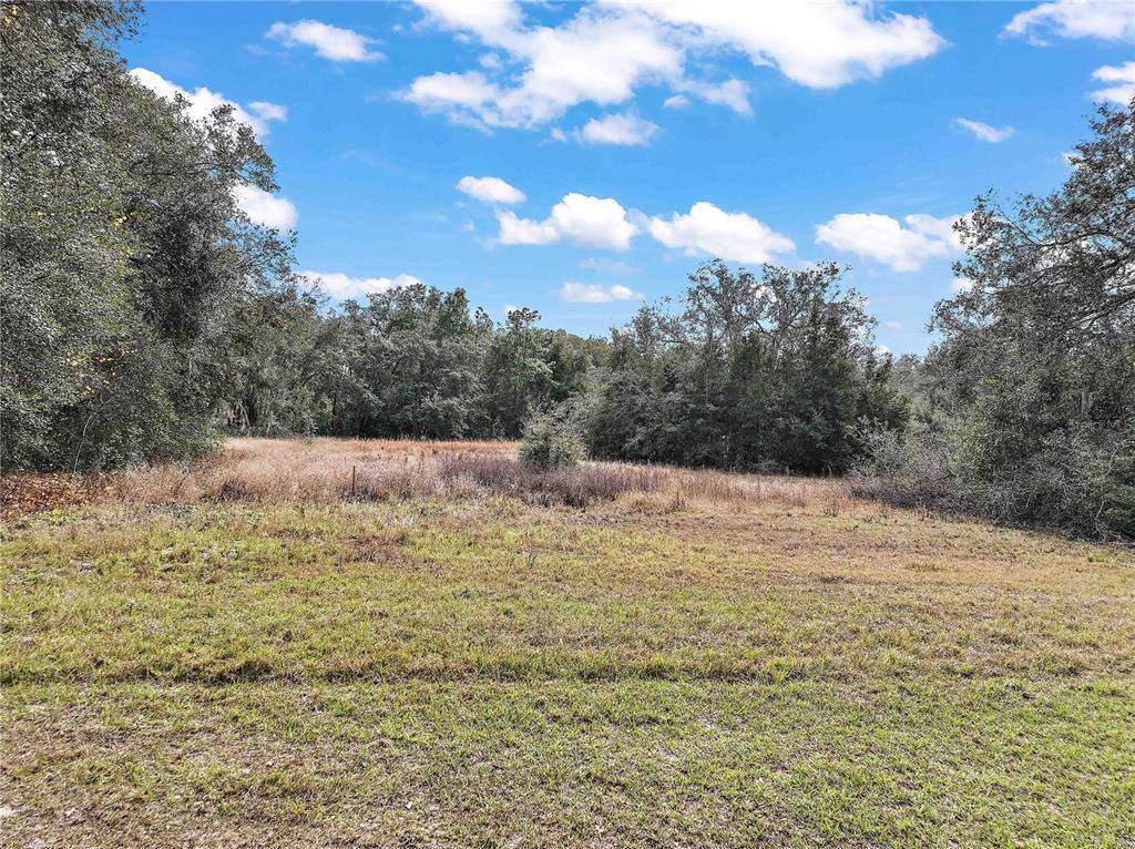 0 SE 101 CT. Road, Belleview, FL 34420