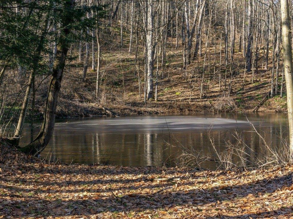 825 Glenmary Drive, Owego, NY 13827