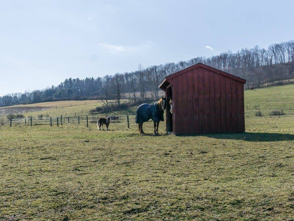 825 Glenmary Drive, Owego, NY 13827