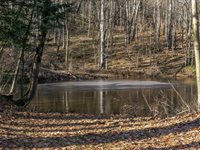 825 Glenmary Drive, Owego, NY 13827