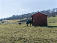 825 Glenmary Drive, Owego, NY 13827