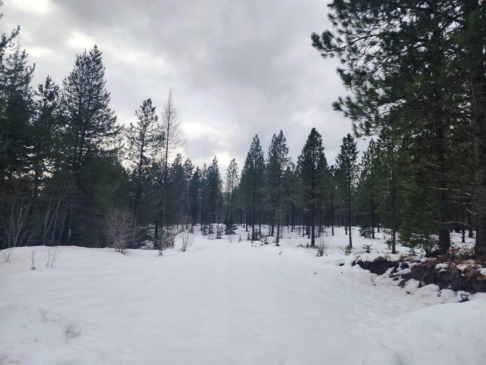 Lot 6 Lakota Loop, Troy, MT 59935