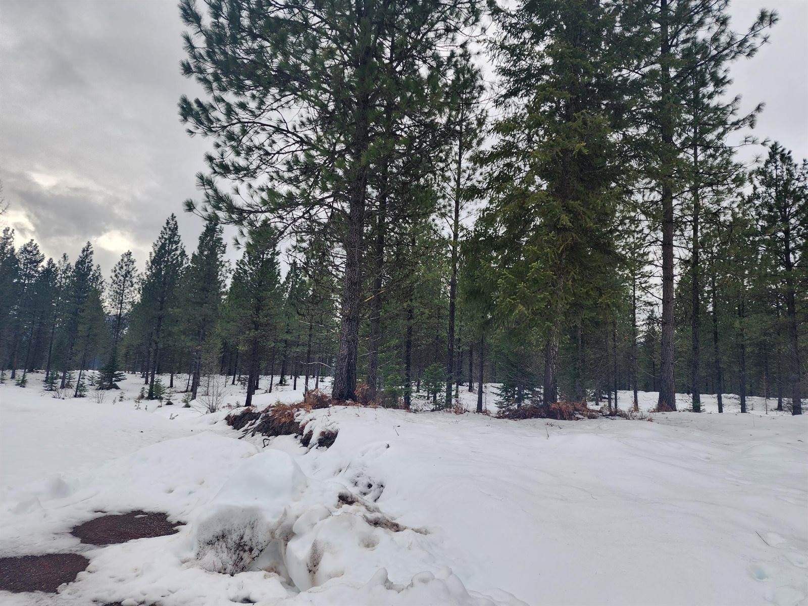 Lot 6 Lakota Loop, Troy, MT 59935