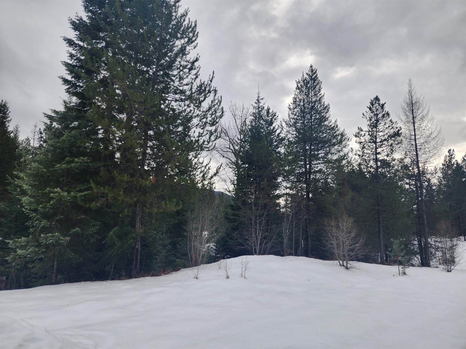 Lot 6 Lakota Loop, Troy, MT 59935
