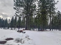 Lot 6 Lakota Loop, Troy, MT 59935