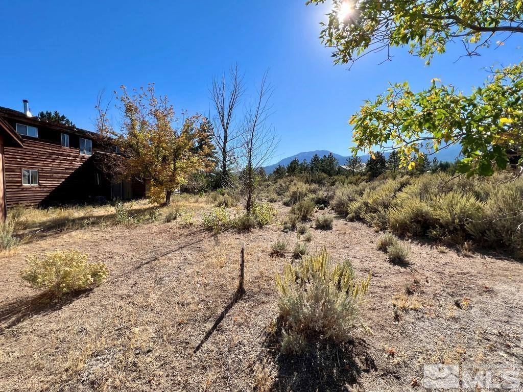 15775 Fawn, Reno, NV 89511