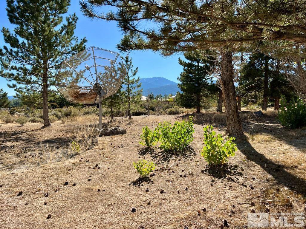 15775 Fawn, Reno, NV 89511