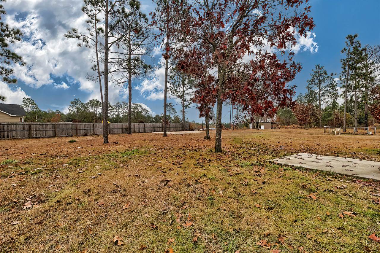 153 nancy road, pelion, SC 29123