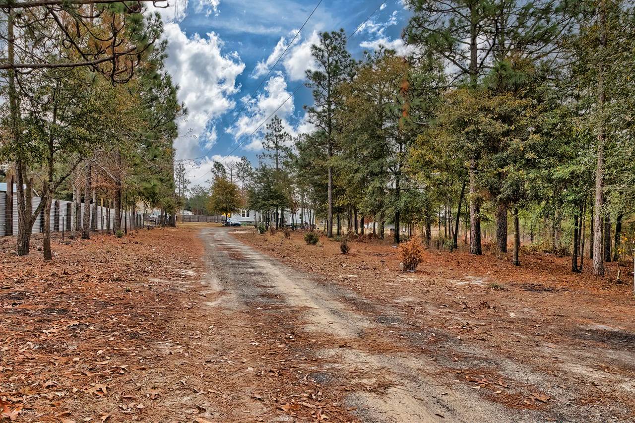 153 nancy road, pelion, SC 29123