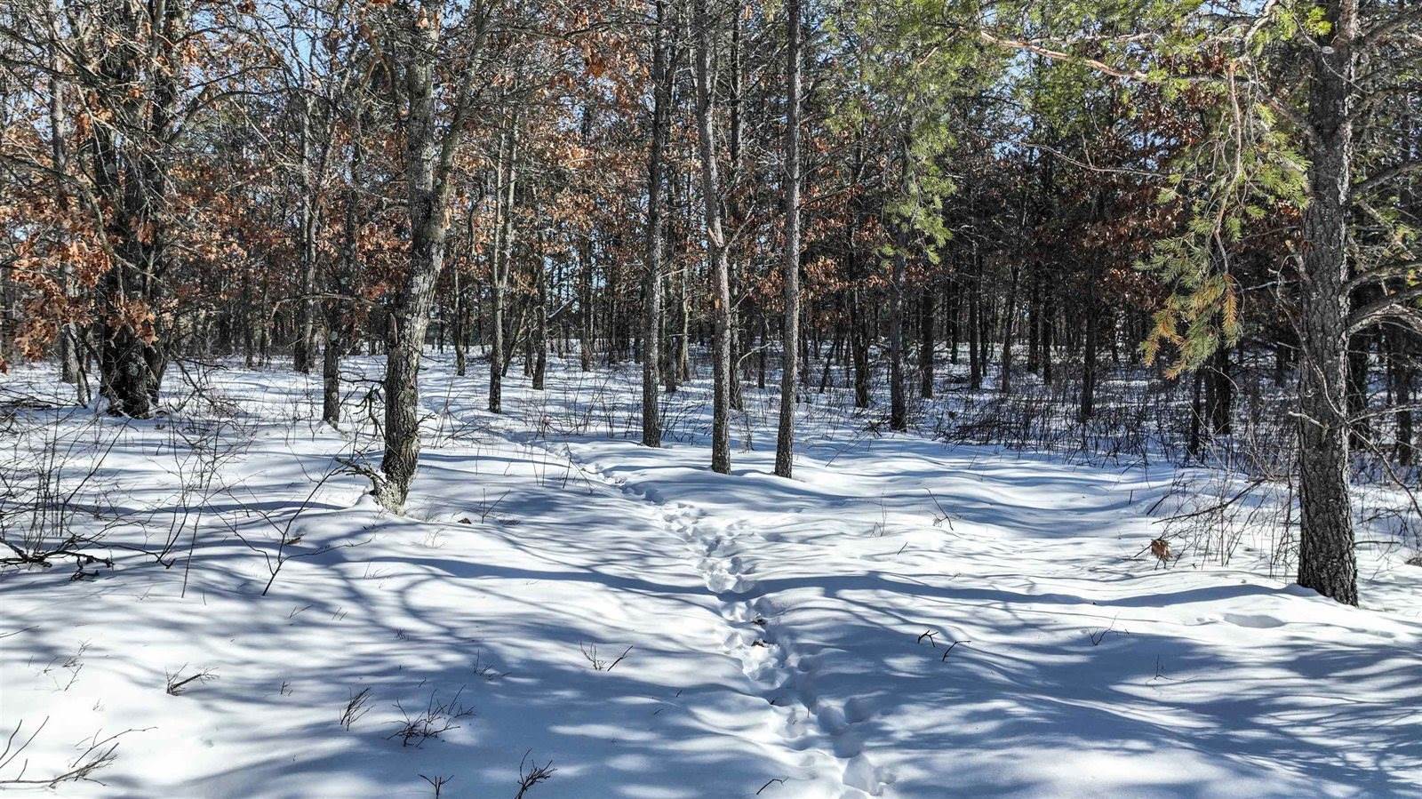 1362 Eagle Trail, Nekoosa, WI 54457