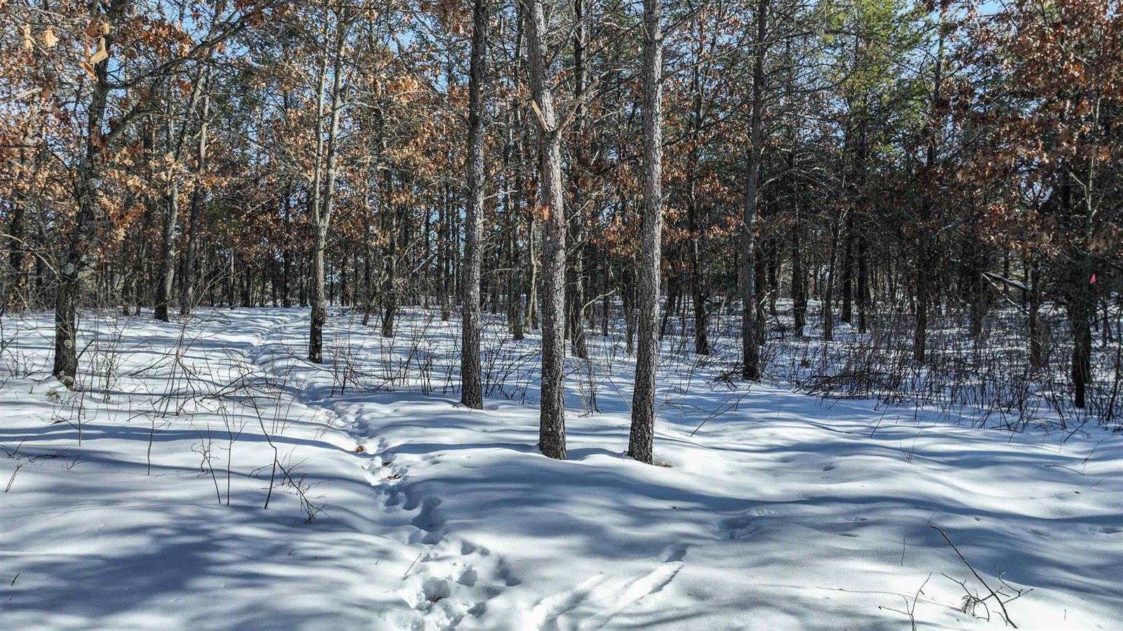 1362 Eagle Trail, Nekoosa, WI 54457