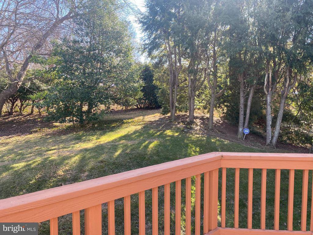 11500 Rokeby Avenue, Kensington, MD 20895