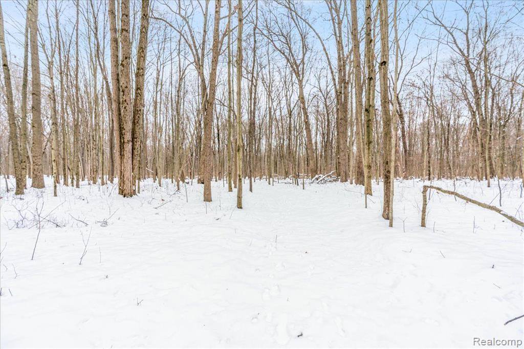 21851 Prince Road, Sumpter Township, MI 48111