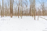 21851 Prince Road, Sumpter Township, MI 48111