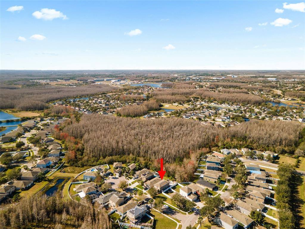 3327 Hoylake Court, Land O Lakes, FL 34638