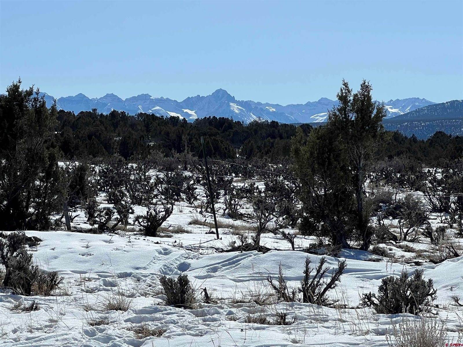 70746 Buckhorn Road, Montrose, CO 81403