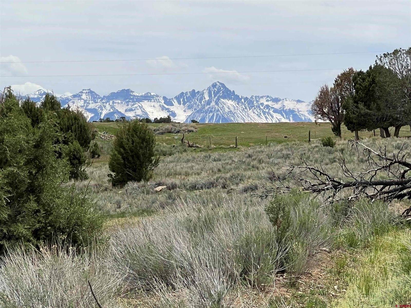 TBD Tract 4 County Road 22, Montrose, CO 81403