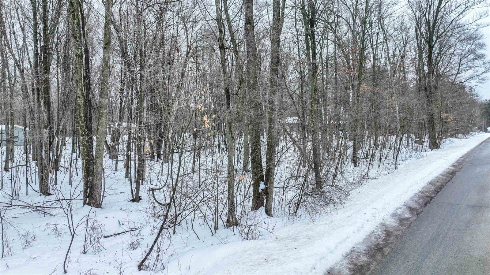 Lot 2 STATELY CONIFER RIDGE, Rosholt, WI 54473