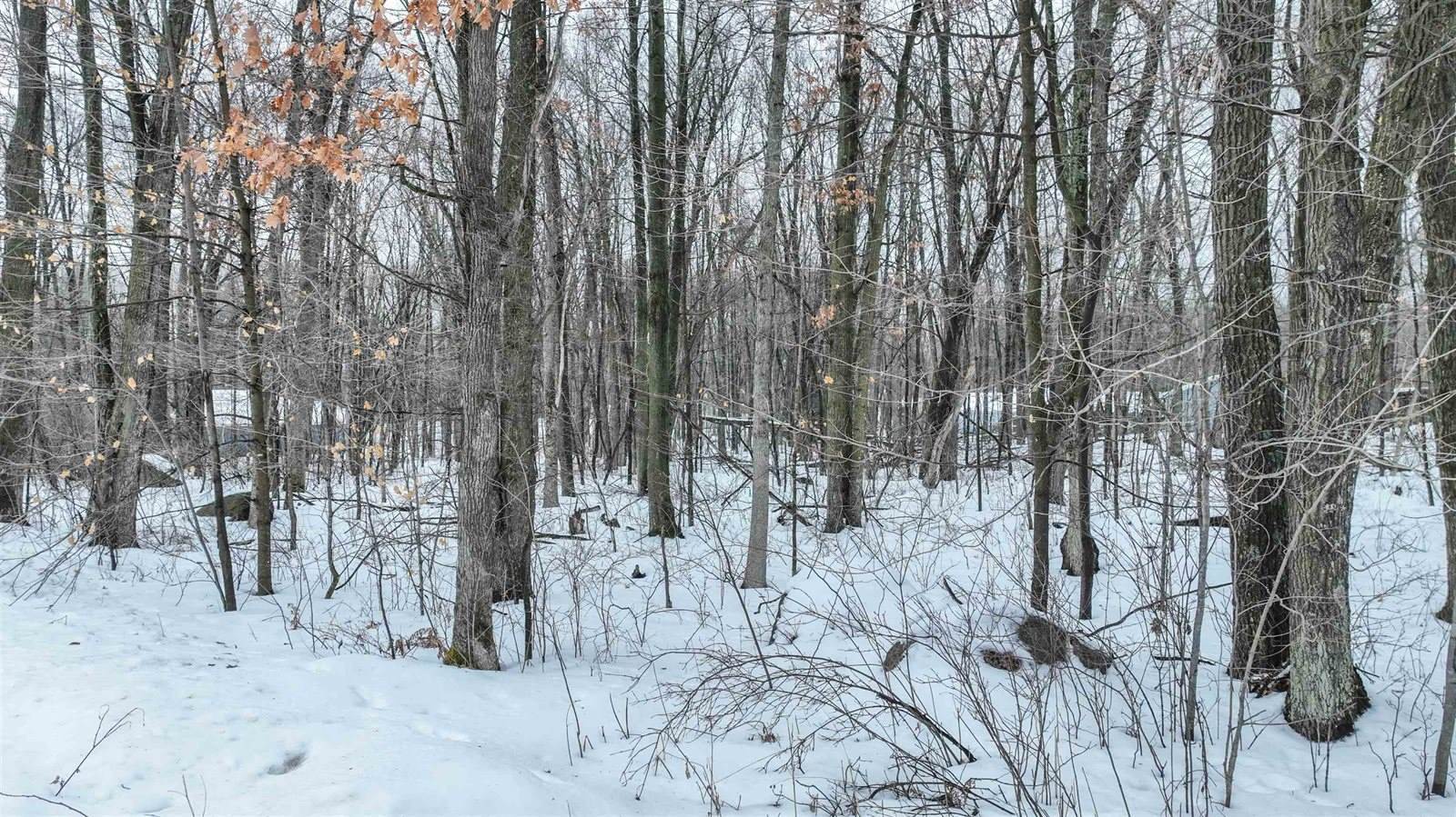 Lot 2 STATELY CONIFER RIDGE, Rosholt, WI 54473