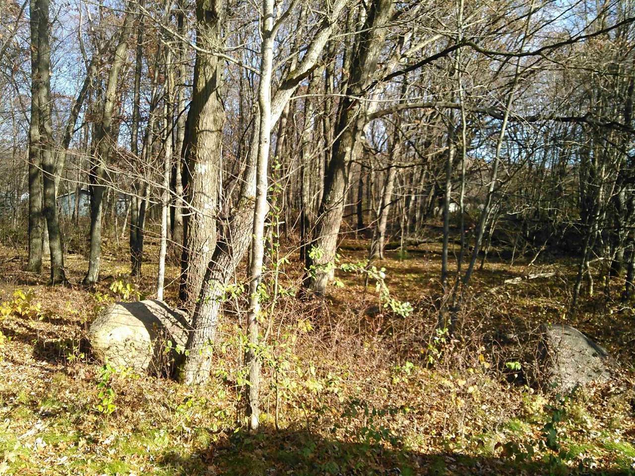 Lot 2 STATELY CONIFER RIDGE, Rosholt, WI 54473