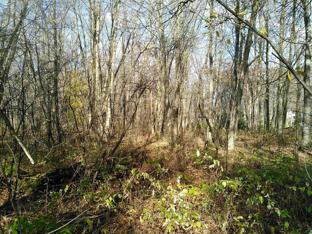 Lot 2 STATELY CONIFER RIDGE, Rosholt, WI 54473