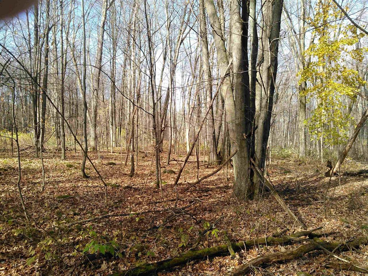 Lot 2 STATELY CONIFER RIDGE, Rosholt, WI 54473