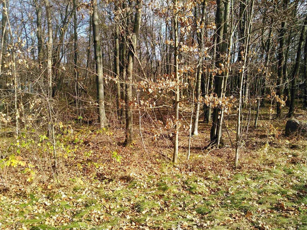 Lot 2 STATELY CONIFER RIDGE, Rosholt, WI 54473