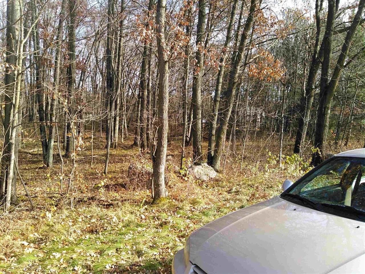 Lot 2 STATELY CONIFER RIDGE, Rosholt, WI 54473