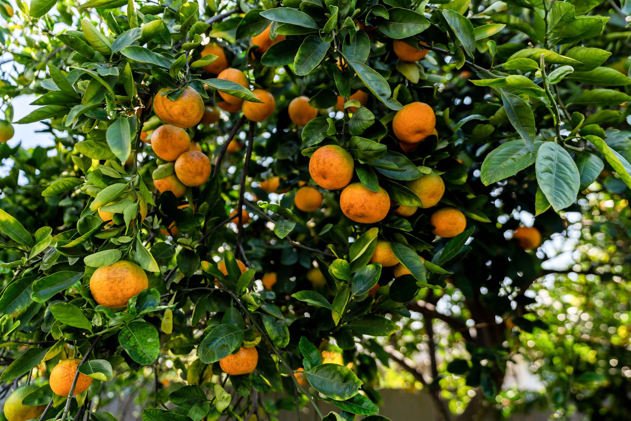 76-130 Kamehamalu Street, Kailua-Kona, HI 96740