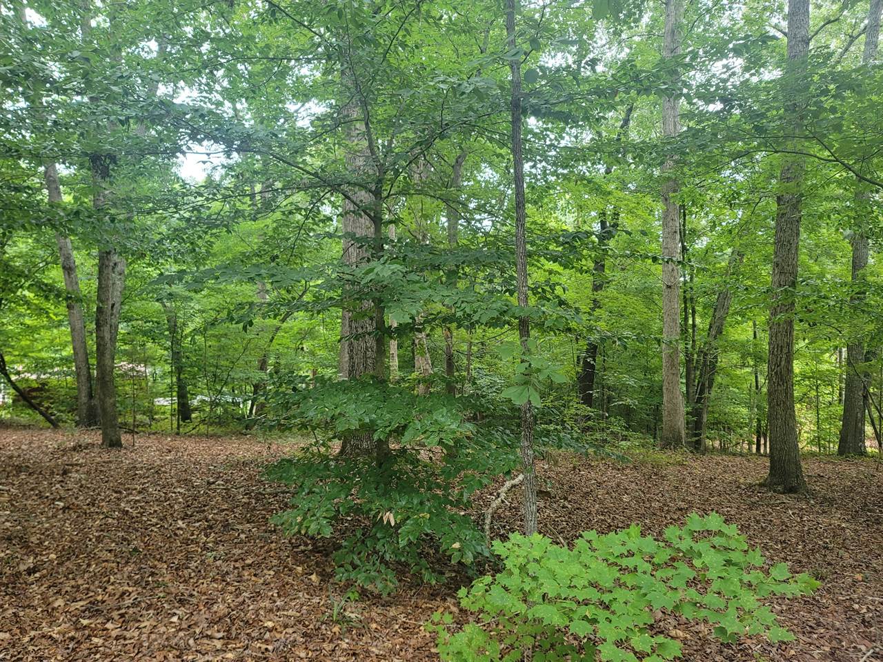 159 Lindell, Little Mountain, SC 29075