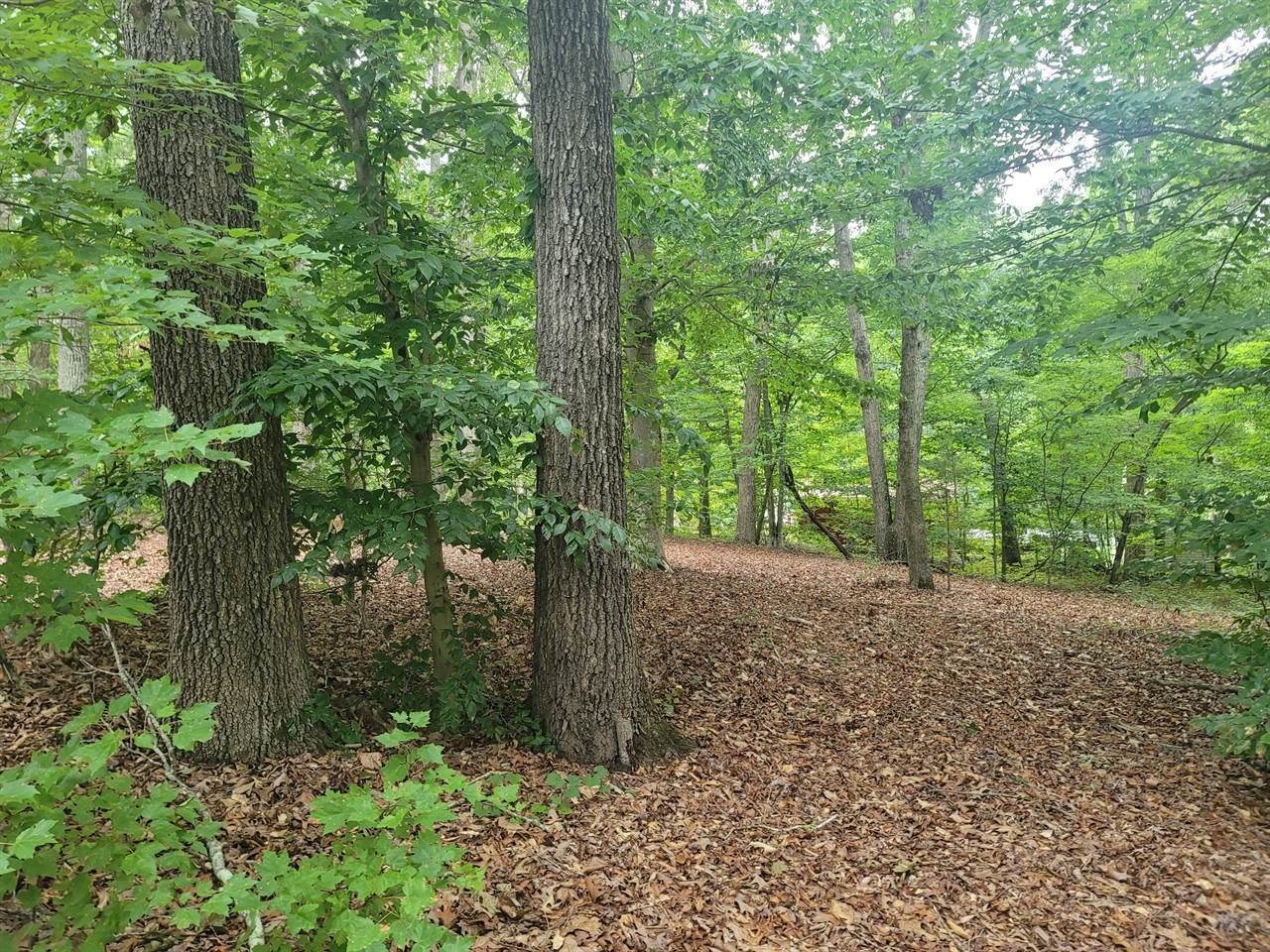 159 Lindell, Little Mountain, SC 29075