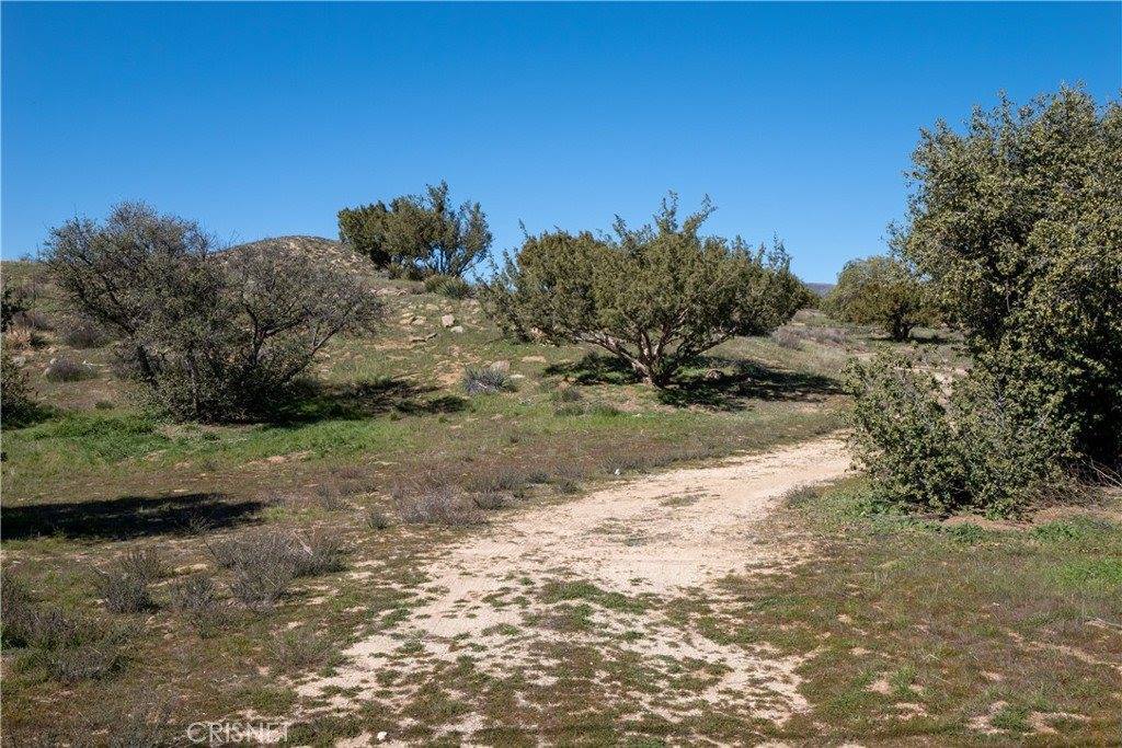 0 Vac/Vic Sierra Hwy/Robinsong Road, Agua Dulce, CA 93510