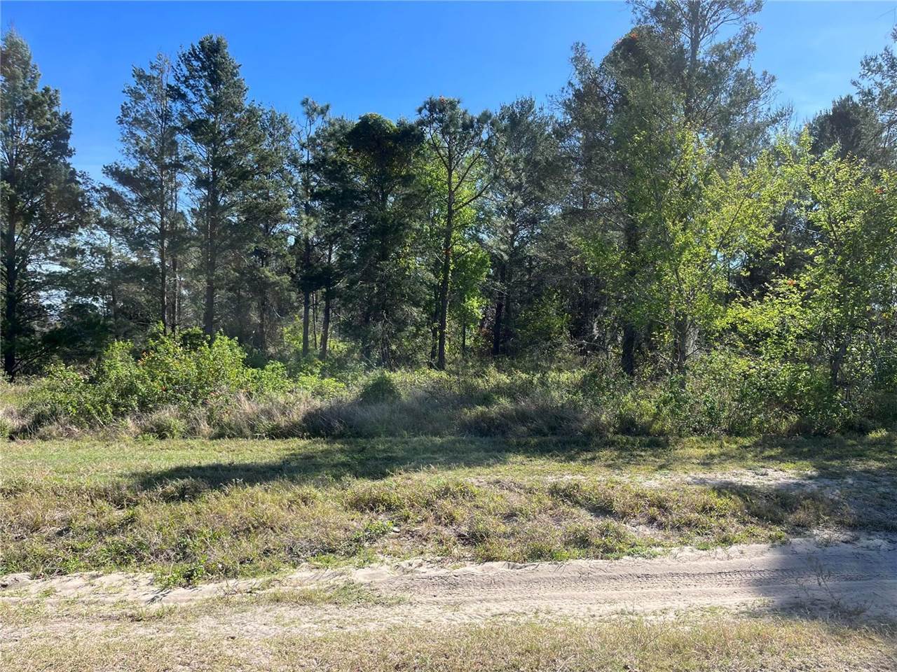 00 SW 151ST Place, Dunnellon, FL 34432