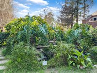 1088 Yarwood CT, San Jose, CA 95128