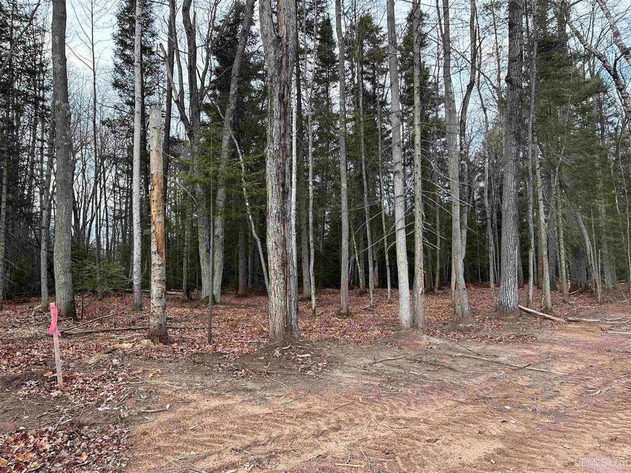 Lot 7 Parker LN, Marquette, MI 49855