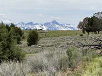 Tract 1 County Road 22, Montrose, CO 81403