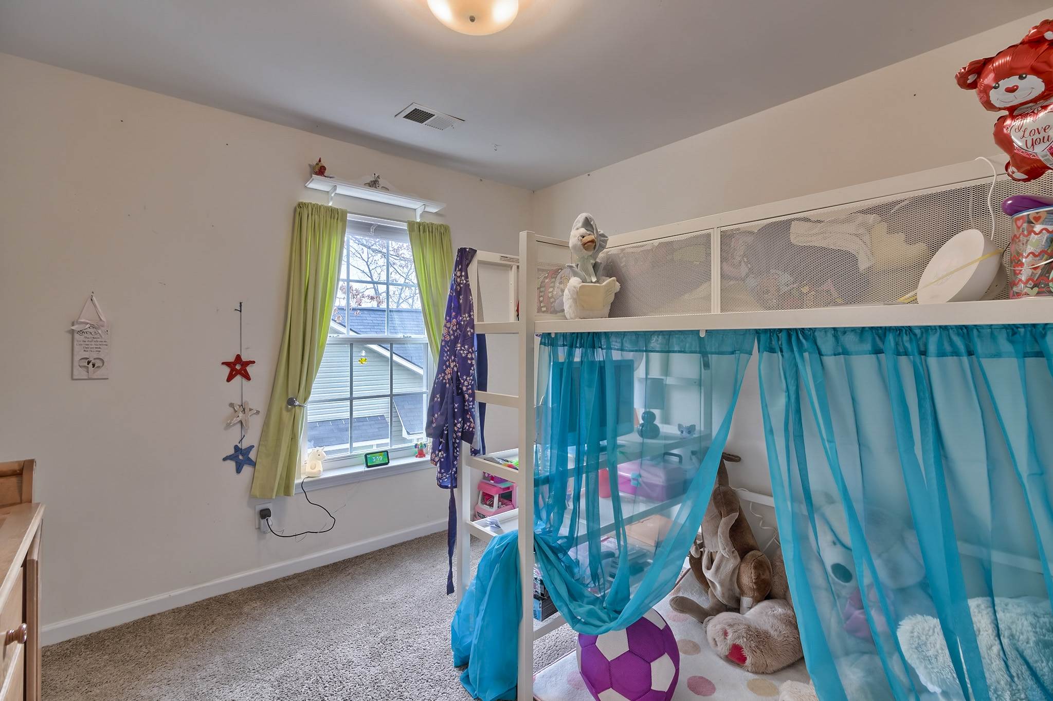 220 Baneberry, Lexington, SC 29073