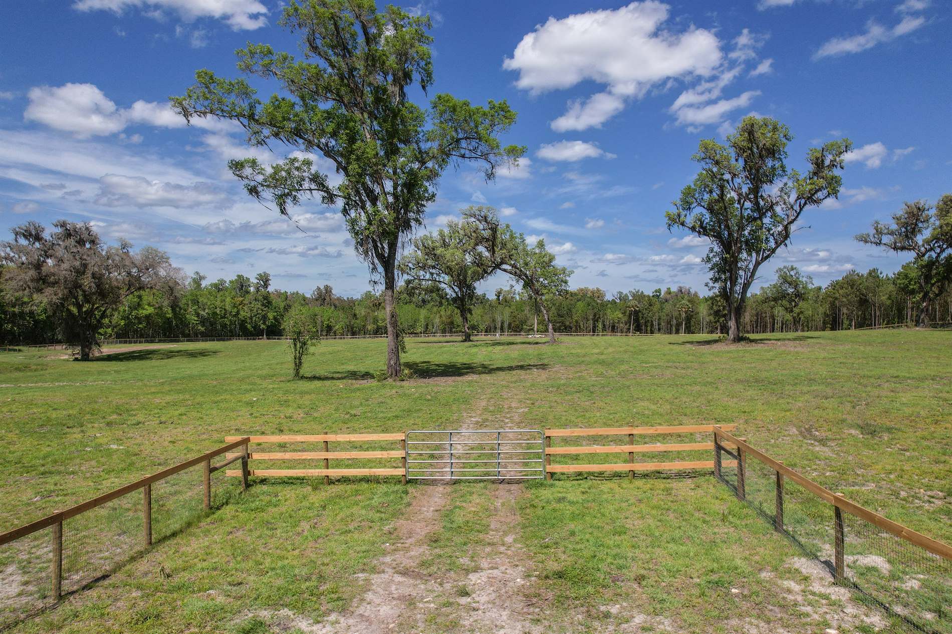 10ac (2b) NW Hwy 318, Reddick, FL 32686