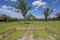 10ac (2b) NW Hwy 318, Reddick, FL 32686