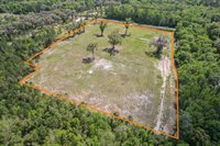 10ac (2b) NW Hwy 318, Reddick, FL 32686