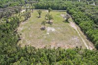 10ac (2b) NW Hwy 318, Reddick, FL 32686