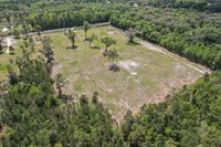 10ac (2b) NW Hwy 318, Reddick, FL 32686