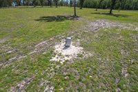 10ac (2b) NW Hwy 318, Reddick, FL 32686