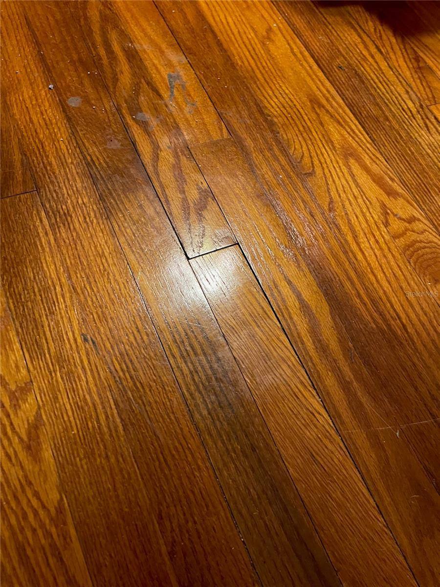 4527 26TH Avenue South, Saint Petersburg, FL 33711