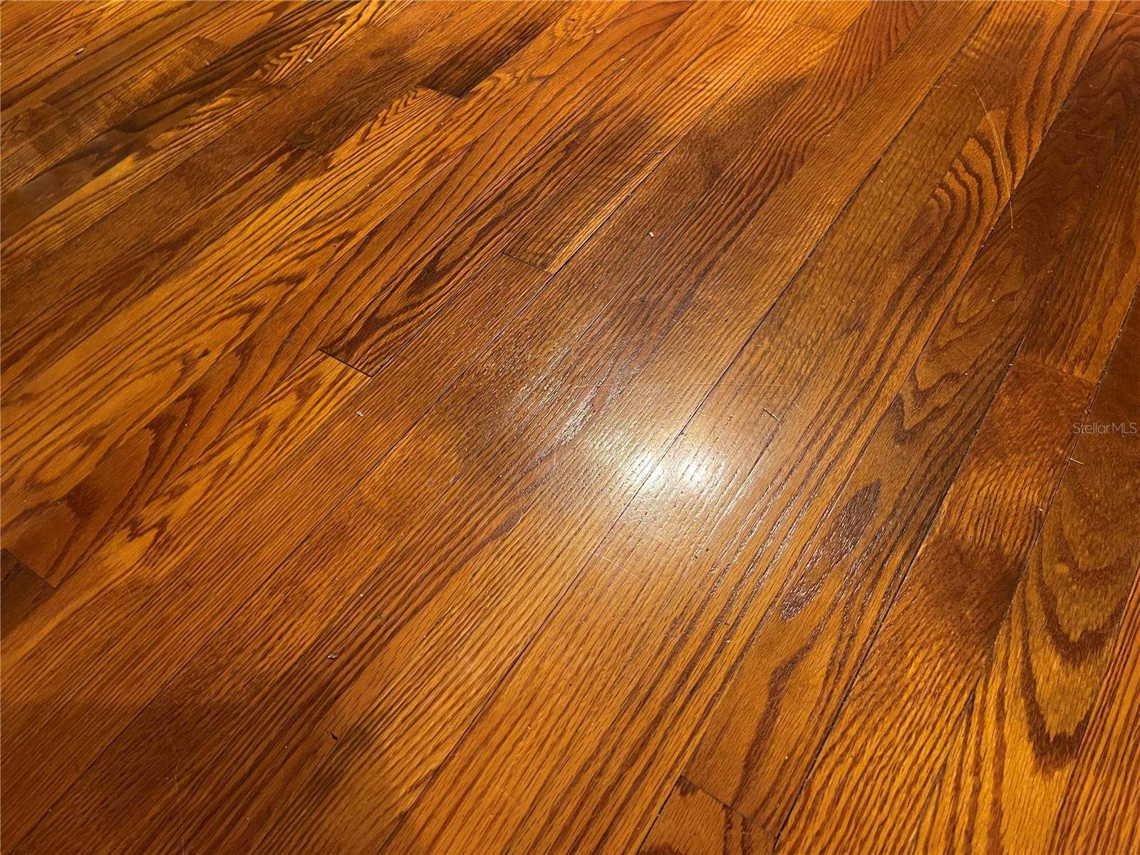 4527 26TH Avenue South, Saint Petersburg, FL 33711