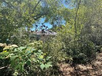 4527 26TH Avenue South, Saint Petersburg, FL 33711