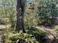 4527 26TH Avenue South, Saint Petersburg, FL 33711