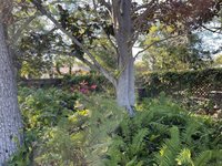 4527 26TH Avenue South, Saint Petersburg, FL 33711