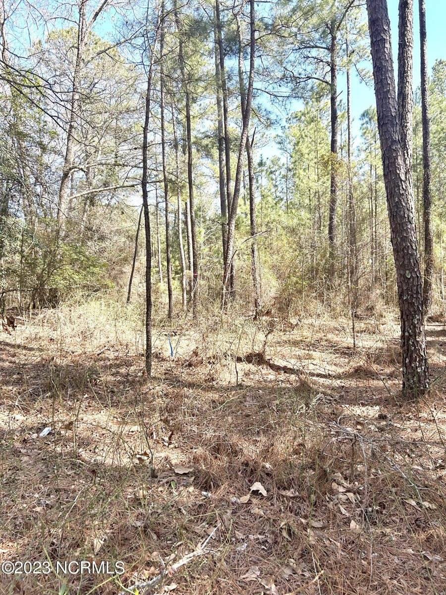 Tbd Niagara Carthage, Lot 1 Road, Whispering Pines, NC 28327